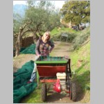...mit Andrea an der Erntemaschine und am Fotoapparat ... ...mit Andrea an der Erntemaschine und am Fotoapparat ...